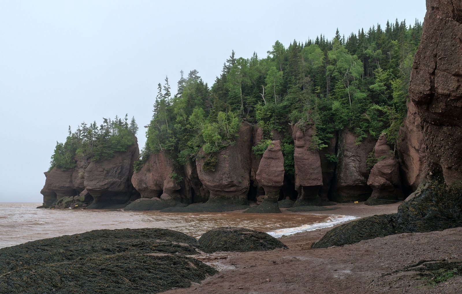Saint John